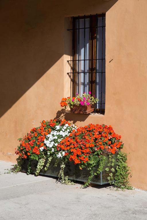 B&B Stradivari Cremona Exterior photo
